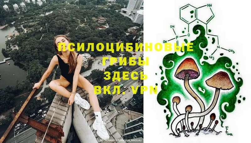 Псилоцибиновые грибы Magic Shrooms  Муром 